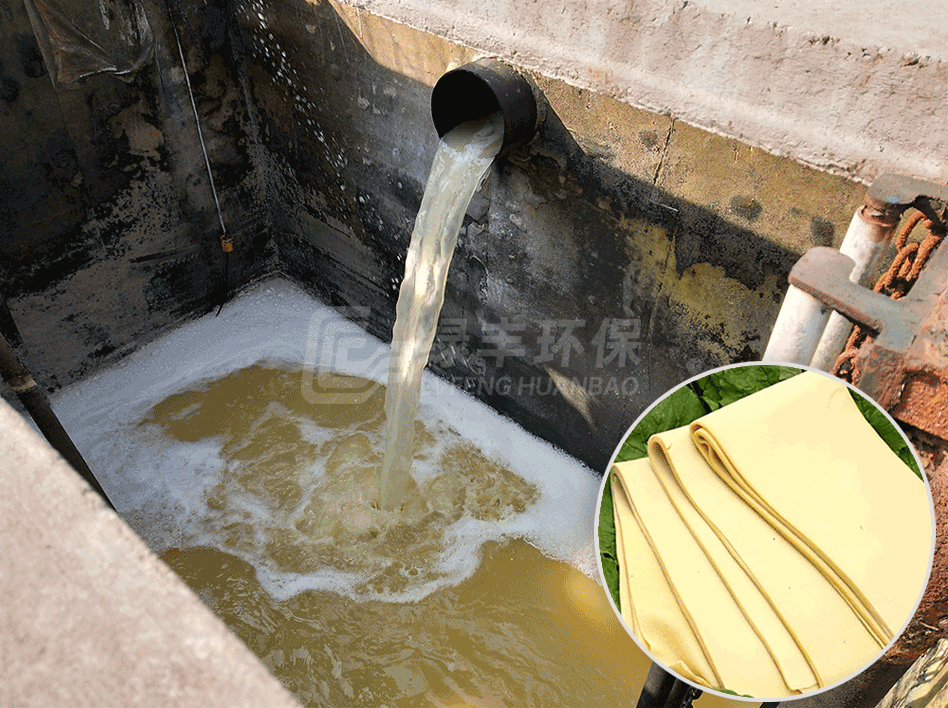 豆腐皮废水处理工程