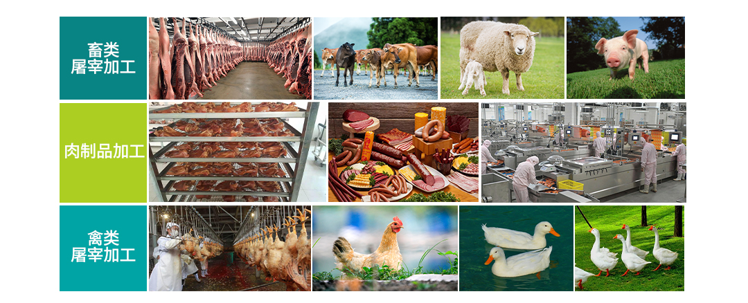 肉类加工工业水污染物排放标准解读-专注肉类屠宰水治理-河南绿丰环保