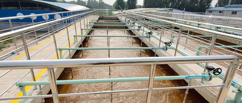 污水处理中生物除磷原理