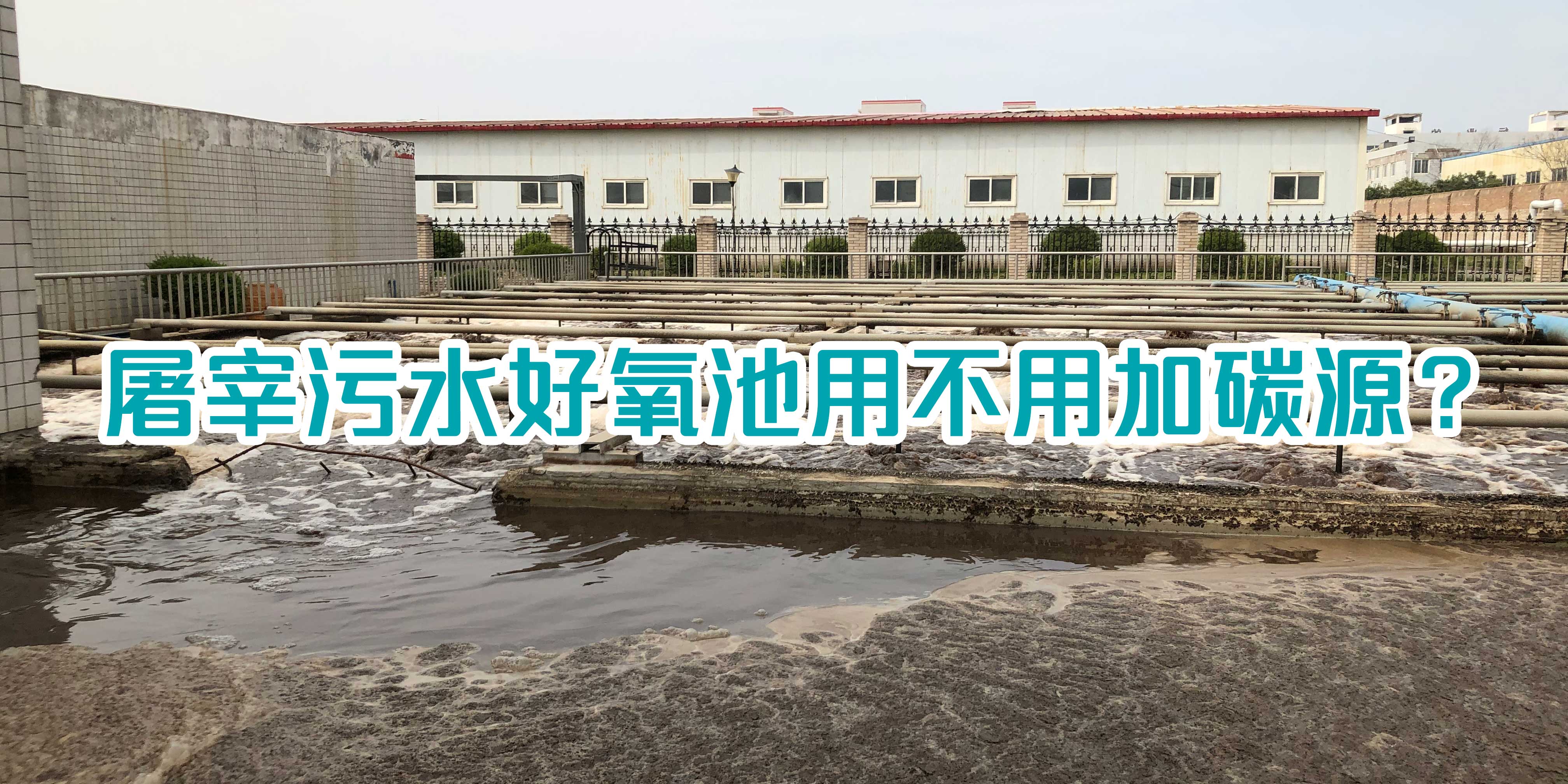 屠宰污水好氧池用不用加碳源？