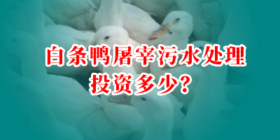 白条鸭屠宰污水处理投资多少？