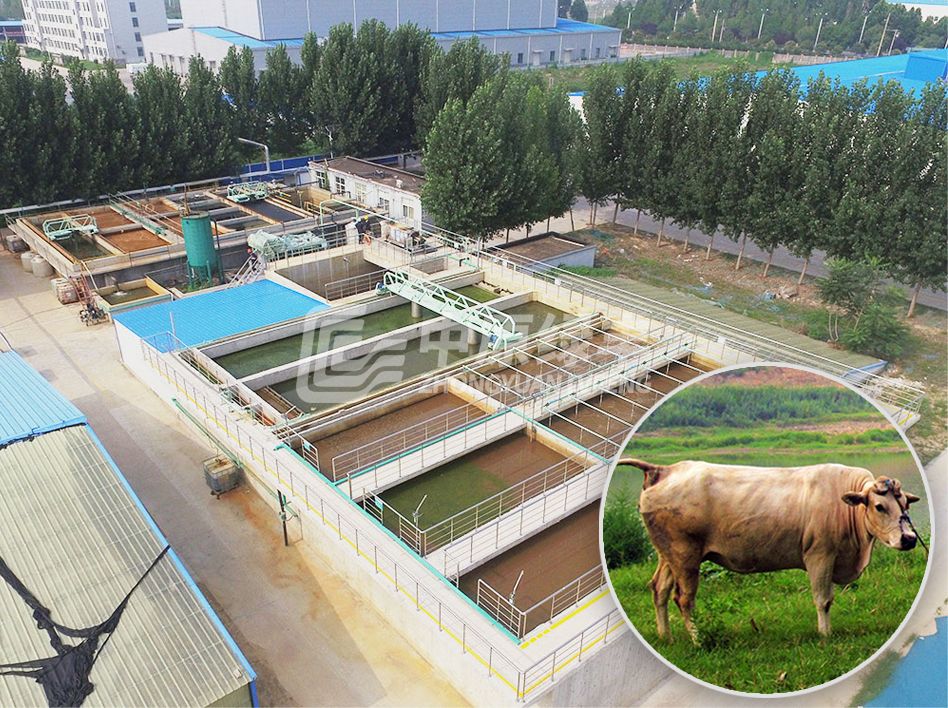 牛屠宰废水处理工程