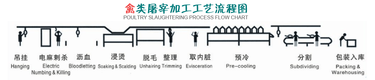 屠宰废水处理工艺-详情页_03