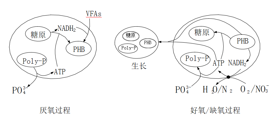 大张实业总磷去除